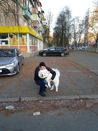  ,   , 41 ,     , c 