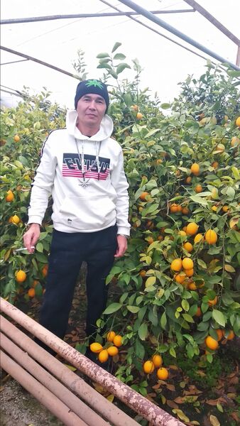  ,   , 49 ,   ,   , c 