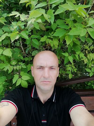  ,   , 43 ,   , 