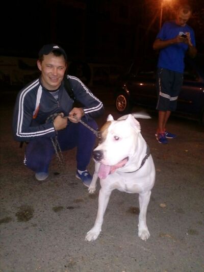  ,   IGOR, 42 ,   ,   , c 