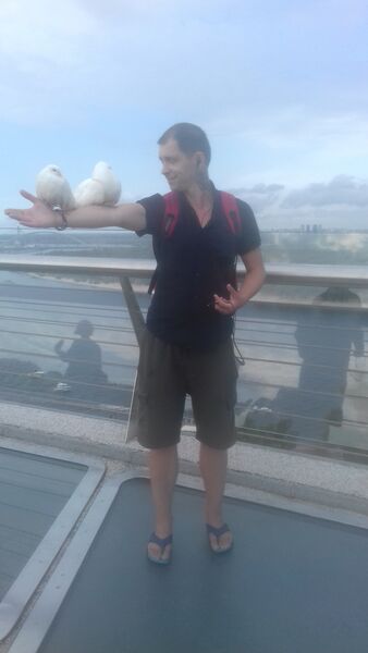  ,   , 37 ,   ,   , c , 