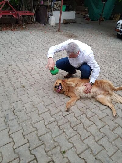  ,   Anton, 58 ,   ,   