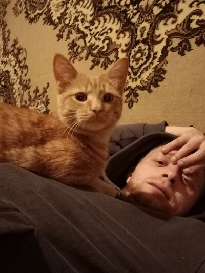  ,   ˸, 23 ,   ,   , c , 