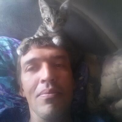  ,   ˸, 51 ,   ,   , c 