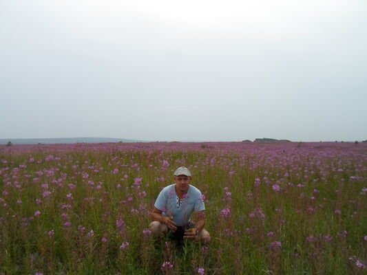  ,   154, 45 ,   ,   , c 