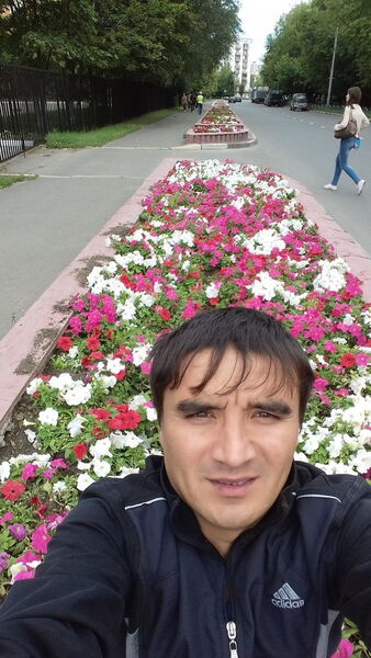   ,    , 37 ,   