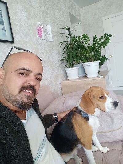  ,   , 43 ,   