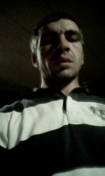  ,   Hayk, 38 ,   