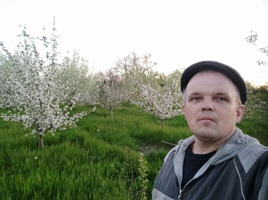  ,   , 50 ,   ,   