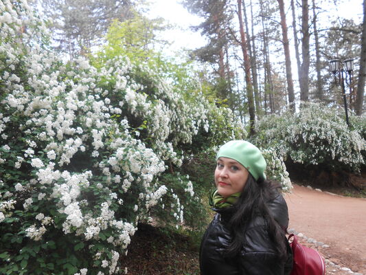  ,   , 37 ,     , c , 