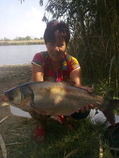  ,   , 63 ,   c 