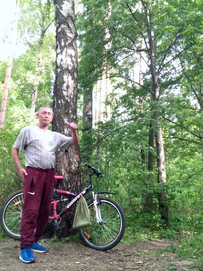  ,   , 71 ,   ,   , c 