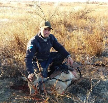  ,   Artem, 37 ,     , c 