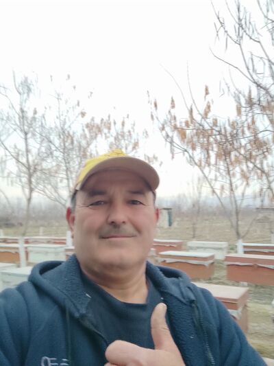  ,   , 56 ,   ,   