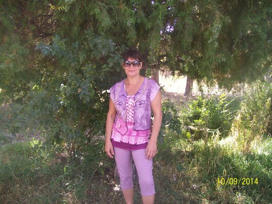  ,   , 58 ,  