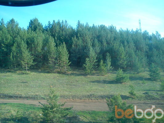  3318459  , 50 ,    --