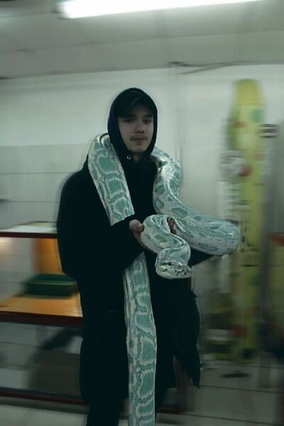  ,   Saitamarin, 24 ,   ,   