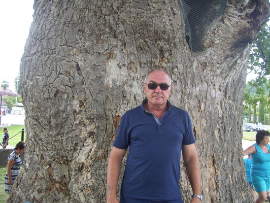  ,   , 56 ,   c 