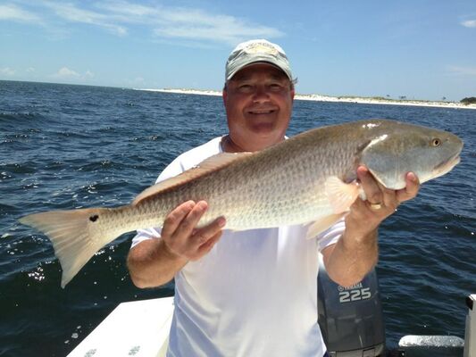  Deventer,   Billyrich, 71 ,   ,   , c 