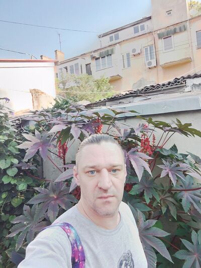 ,    , 43 ,   ,   