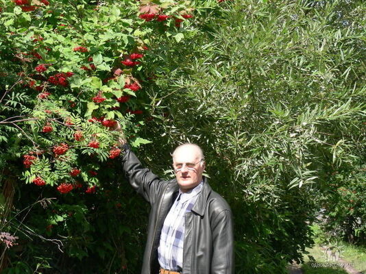  ,   , 71 ,   