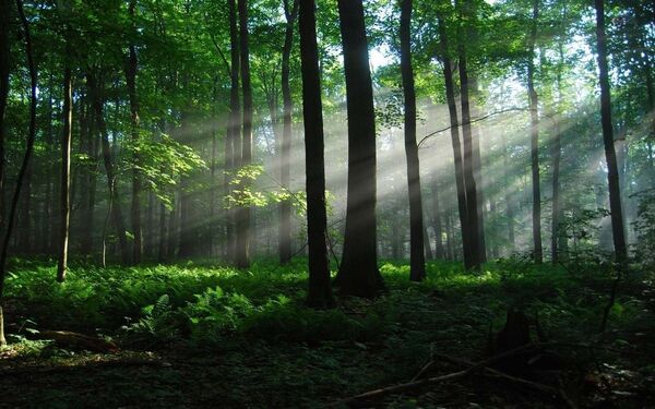  ,   Gennadij, 46 ,   ,   , c 