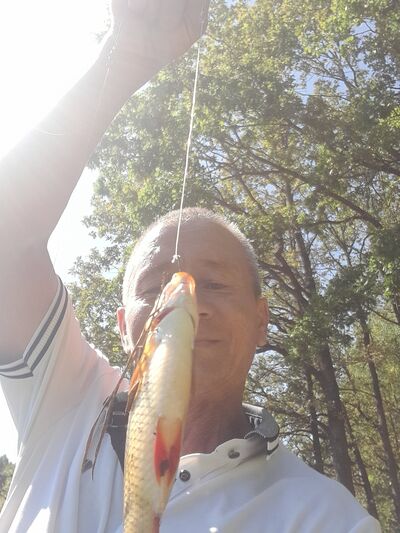  ,   , 61 ,   ,   , 