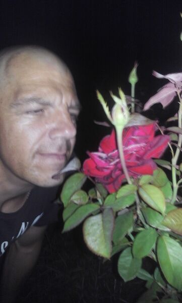   ,   , 48 ,  