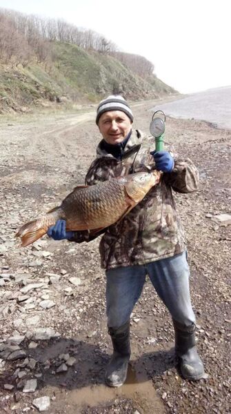  --,   Aleksandr, 66 ,     , c 