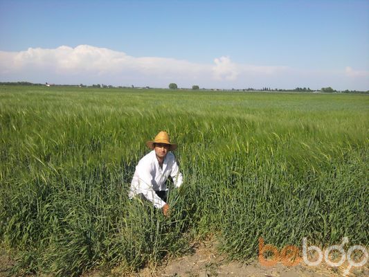  ,   Asef, 43 ,   