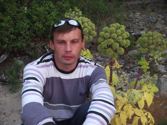  -,   , 51 ,   ,   , c 