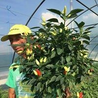  ,   Andrii, 54 ,     , c 