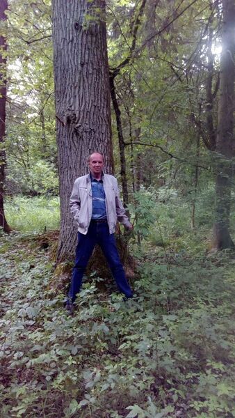  ,   , 65 ,   