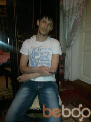  ,   Qitmirdoda, 41 ,  