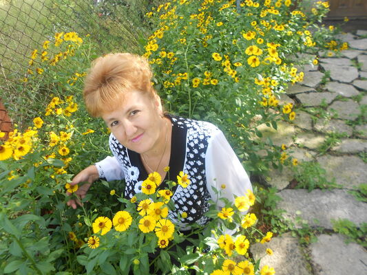  ,   , 58 ,   ,   , c 
