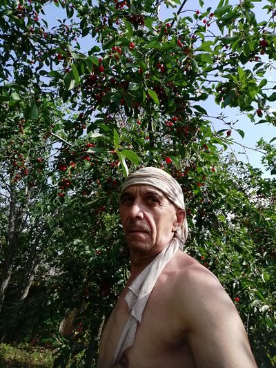  ,   , 62 ,   ,   , 