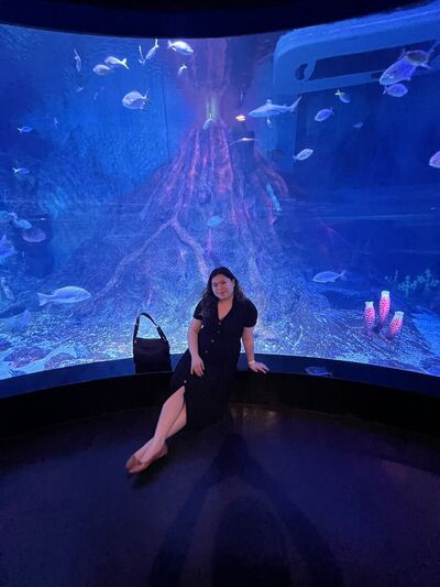  ,   Levina, 27 ,     , c 