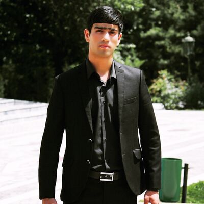  ,   ANSOR, 31 ,   