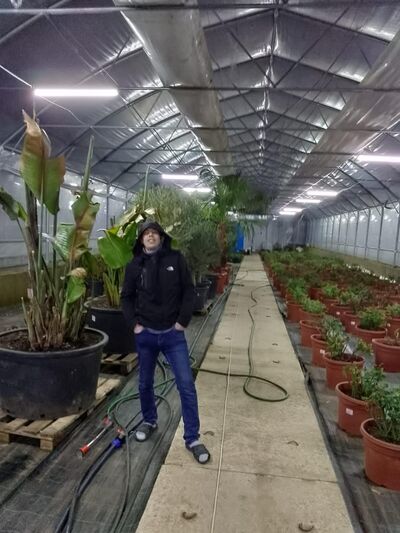  ,   , 37 ,   ,   