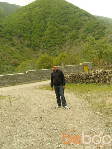  ,   Niko, 41 ,     , c 