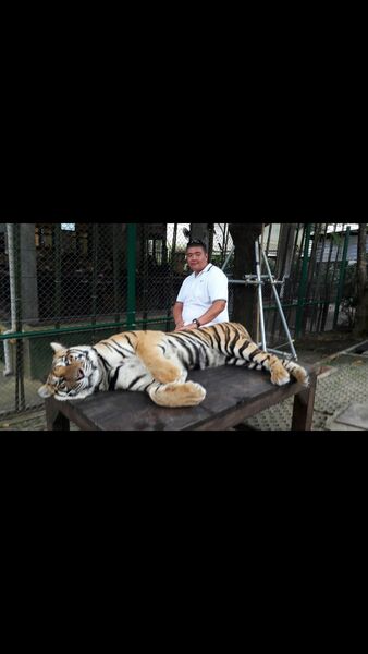  ,   MIRAS, 38 ,   ,   , c 