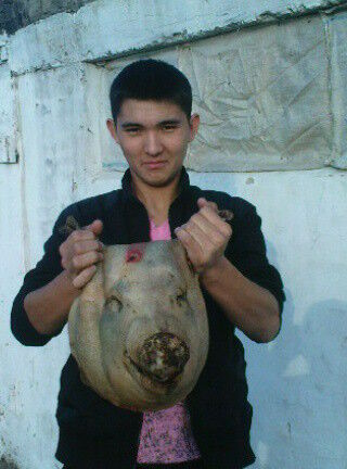  ,   Erlan, 36 ,  
