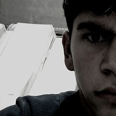  ,   Lion, 20 ,   ,   