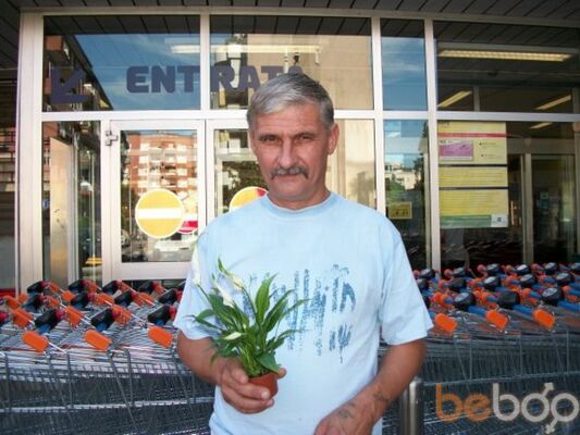  ,   Vitek, 61 ,   ,   , c 