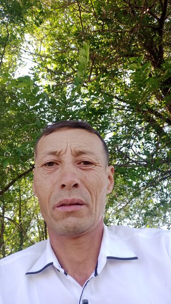  ,   , 44 ,   ,   , 
