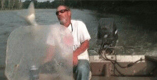  ,   , 65 ,   