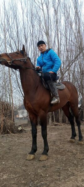  ,   Odiljonov, 24 ,   ,   