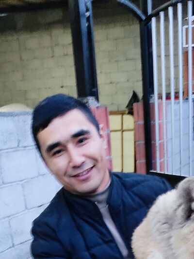  ,   Doni, 33 ,     , c , 