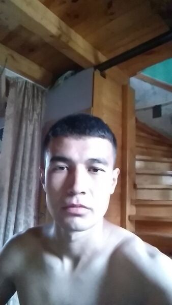  ,   Shaxob, 28 ,   ,   , c 