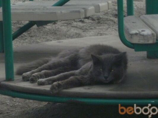  ,   Angel, 36 ,   